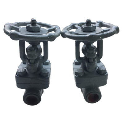forged globe valves manufacturer and supplier in India