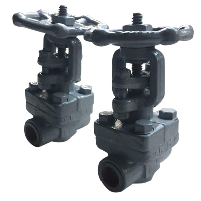 Forged Gate Valve Exporter