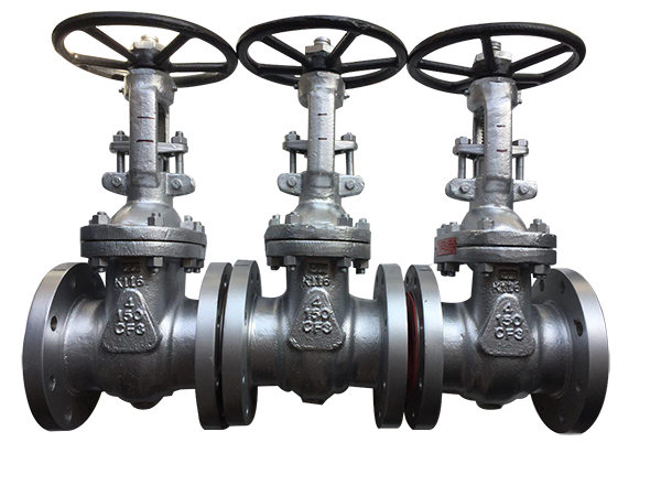 Globe Valve Manufacturer in India