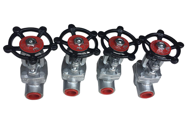 Forged Gate Valve Manufacturer in Ahmedabad