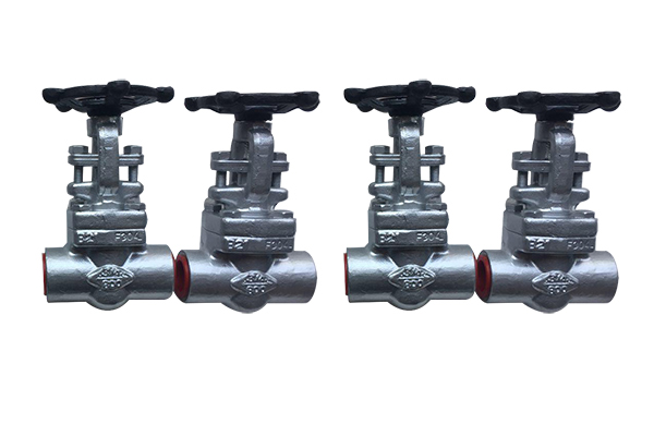 Forged Steel Globe Valve Manufacturer in Ahmedabad