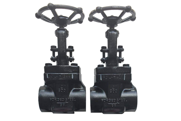 GTV-50MM-X-8007 - Forged Steel Globe Valve Manufacturer in Ahmedabad