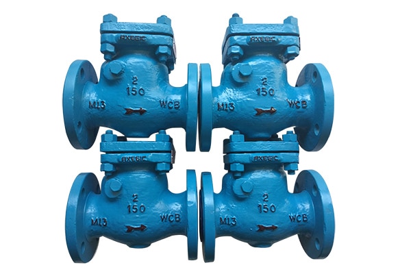 Non Return Valve Manufacturer