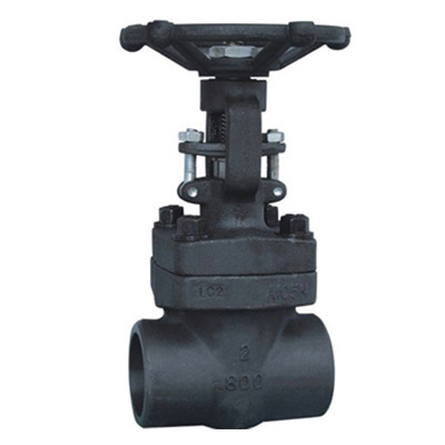 Forged Gate Valve Manufacturer