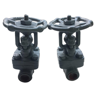 Forged Globe Valve Supplier