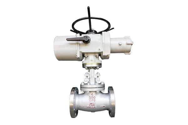 Globe Valve Manufacturer