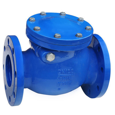 Non Return valve supplier in Ahmedabad