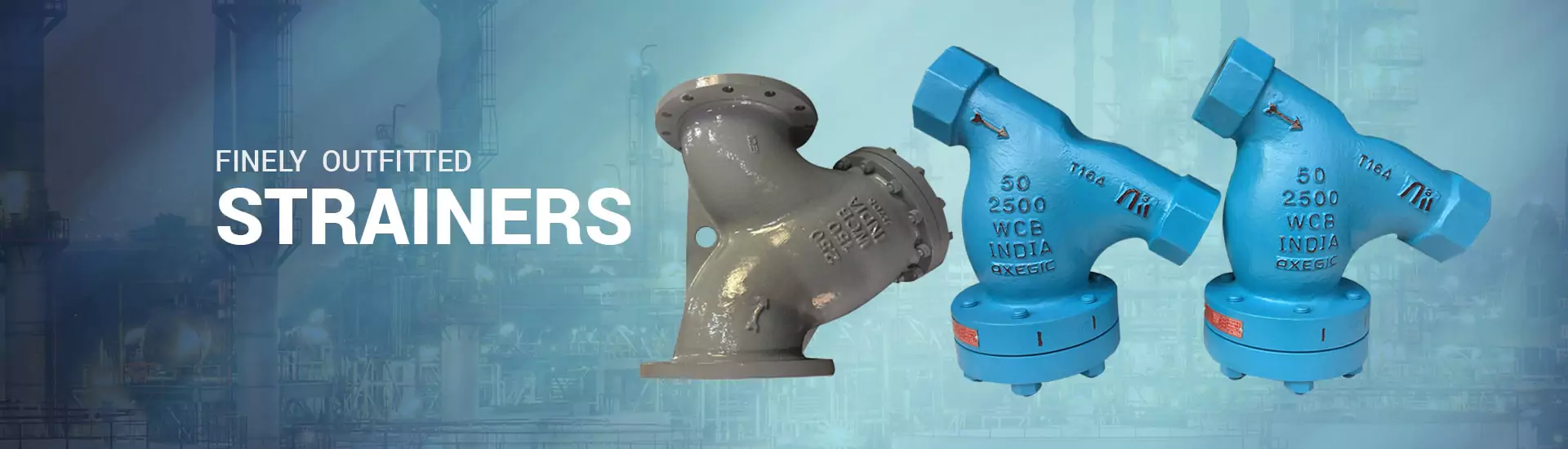 STRAINERS Manufacturer in Ahmedabad